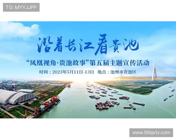 凤凰卫视直播观察：媒体视角下的实时动态分析